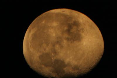 img_7254.jpg